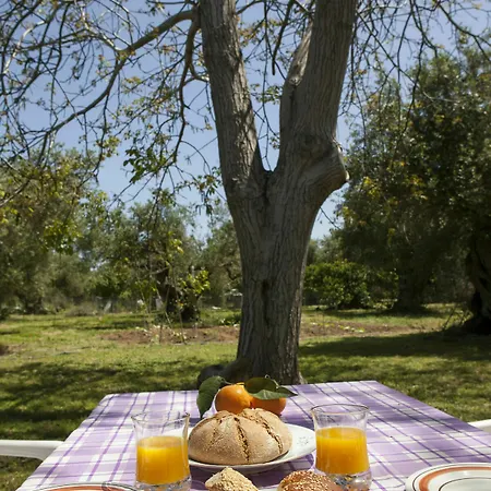 Horizonte Cretan *